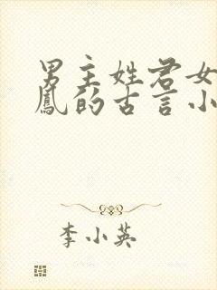 男主姓君女主姓凤的古言小说