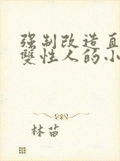 强制改造直男为双性人的小说