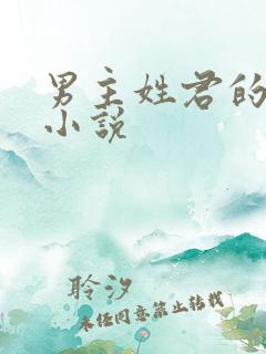 男主姓君的现代小说