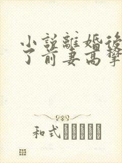 小说离婚后我成了前妻高攀不起的神