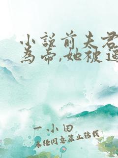 小说前夫君登基为帝,她被逼和离在线阅读