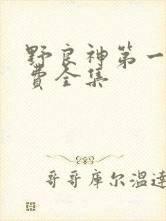 野良神第一季免费全集