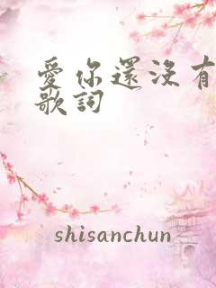 爱你还没有爱够歌词