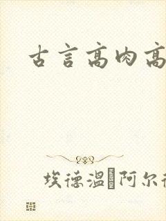 古言高肉高h