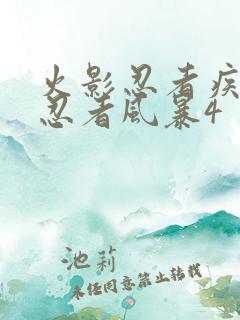 火影忍者疾风传忍者风暴4