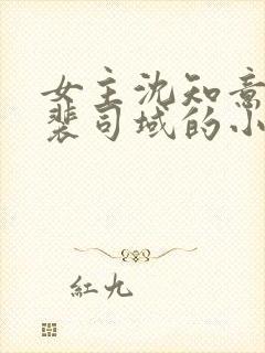 女主沈知意男主裴司域的小说