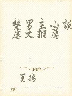 双男主小说阅读虐文推荐