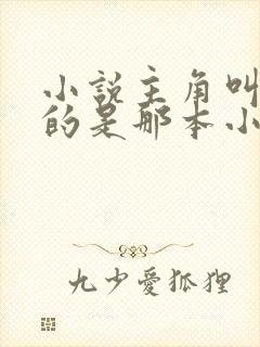 小说主角叫陈凡的是那本小说