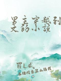 男主穿越到年代文的小说