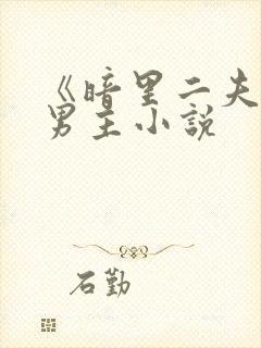 《暗里二夫》双男主小说