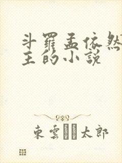 斗罗孟依然是女主的小说