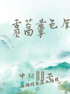 舌苔黄色厚腻怎么回事