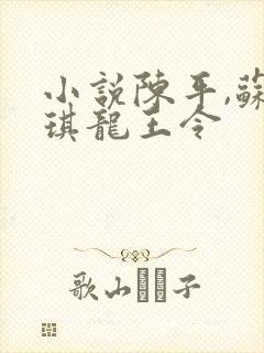 小说陈平,苏雨琪龙王令