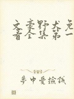 文豪野犬免费观看全集第一季