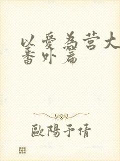 以爱为营大结局番外篇