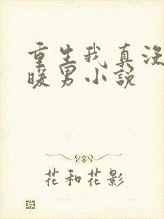 重生我真没想当暖男小说