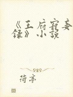 《王府宠妾进阶录》小说