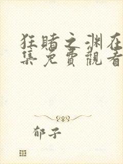 狂赌之渊在线全集免费观看