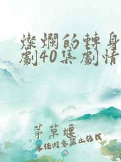 灿烂的转身电视剧40集剧情