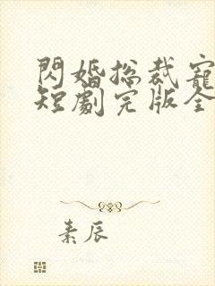 闪婚总裁宠上天短剧完版全集