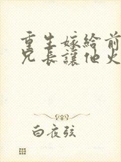 重生嫁给前夫他兄长让他火葬场