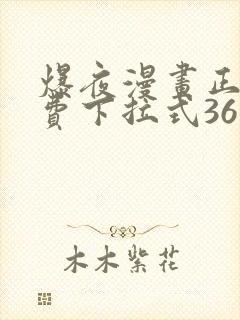 爆夜漫画正版免费下拉式36漫画网