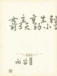 女主重生到末世前3天的小说