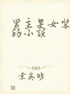 男主是女装大佬的小说