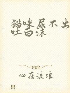 猫咪尿不出出,吐白沫