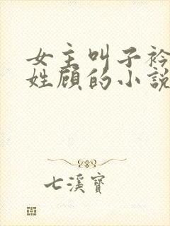 女主叫子衿男主姓顾的小说