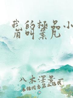 我的极品小姨主角叫叶凡