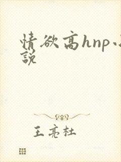 情欲高hnp小说