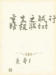 重生之贼行天下精校版txt