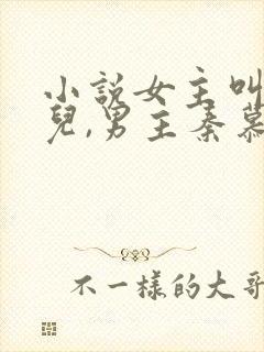 小说女主叫赵锦儿,男主秦慕修