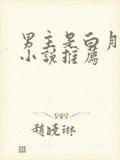 男主是白月光的小说推荐