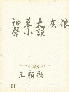神墓大灰狼版有声小说