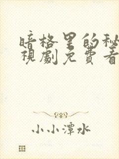 暗格里的秘密电视剧免费看完整版