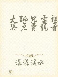 大师兄电视剧全集免费观看