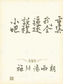 小说逼我重生是吧程逐全集免费阅读