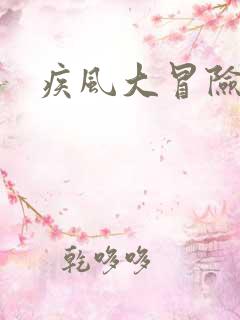 疾风大冒险bt