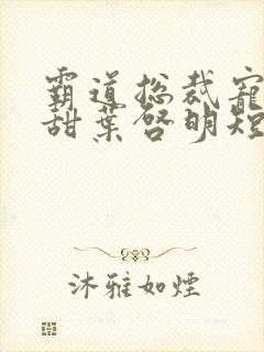 霸道总裁宠妻超甜叶启明短剧