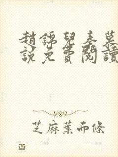 赵锦儿秦慕修小说免费阅读