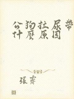 公狗拉尿带血是什么原因