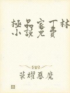 极品家丁林晚荣小说免费