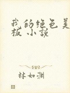 我的绝色美女老板 小说