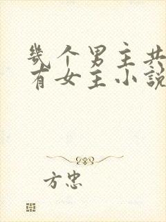 几个男主共同拥有女主小说