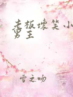 老板坏笑小说双男主