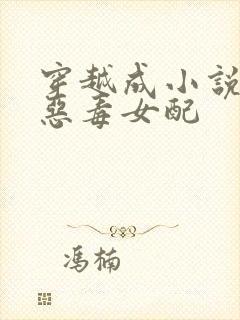 穿越成小说中的恶毒女配