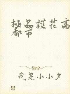 极品护花高手在都市
