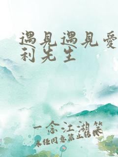 遇见遇见爱情的利先生